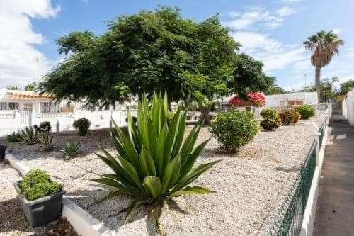 Casa Manuel - Santa Marta Complex Apartman Costa Del Silencio Kültér fotó